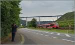 Ein  Hamster  bringt Farbe in den grauen Strassen-Alltag.