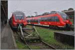 Die Hamster 442 338 und 442 346 in Warnemünde.