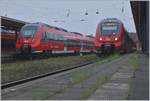 Die Hamster 442 338  und 442 346 in Warnemünde.