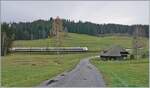 Eine weitere Variante der Jokelsmühle mit der Schwarzwaldbahn zwischen Hinterzarten und Tittisee.