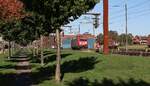 DB 185 401-7 in Warteposition Pattburg/st. 19.10.2025