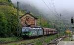 ELL/ELOC/RailForceOne 193 742-4 + 193 947-9 mit G�terzug.