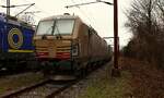 Der neuer  Goldbroiler  zu Gast im Norden...TXL 7193 303-3 REV/MMAL/24.10.24 abgestellt in der S�dabstellung Gbf Padborg/DK 13.03.2026