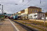 Regensburg Hauptbahnhof am 24.11.2022, links auf Gleis 4 Bombardier  RegioSwinger  (Dieseltriebwagen mit Neigetechnik) 612 481 / 612 981 als RE 40 nach Nürnberg Hbf zur Abfahrt bereit, auf Gleis