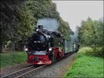 Nachdem der Rasende Roland den Kleinbahnhof in Binz verlassen hat, muss es sofort eine leichte Steigung in Angriff nehmen auf seiner Reise nach G�hren.