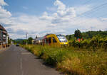 Der VT 208 ABp (95 80 0640 108-6 D-HLB), ein Alstom Coradia LINT 27 der HLB, fährt am 06.06.2023, als RB 90  Westerwald-Sieg-Bahn  (Siegen - Betzdorf – Au – Altenkirchen –