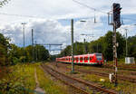 Zweigekuppelte ET 427 (423 192 /423 692 und 423 055/423 555) der S-Bahn Köln erreichen am 27.08.2023 als S 12 den Zielbahnhof Au (Sieg).