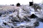 Aufgrund der heutigen Wintersituation, möchte ich die damals heftigere und länger anhaltende Situation zeigen: die Strecke der Hersfelder Kreisbahn bei Hatting am 09.03.1987.