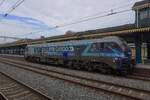 RTB Cargo 2019 31 durchfahrt 's-Hertogenbosch am 8 Mai 2026.