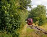   Die Westerwaldbahn (WEBA) Lok 3 (V 26.3), eine Jung R 30 B, f�hrt am 25.08.2015 mit ihrem G�terzug bei Elkenroth in Richtung Bindweide.