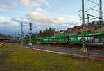 Leerer offener vierachsiger Doppelstock- Autotransportwaggon 27 80 4371 573-1 D-NACCO, der Gattung Laaers 560.1 (BA 5.854), noch registriert unter NACCO AG (geh�ren nun der TWA- TRANSWAGGON) am