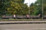 Rungenwagen 80 D-JH 3993 112-0 RS von J.Hubert in Lindau-Insel am 12.08.2023.