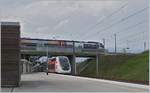Schon fast ein Klassiker: Meroux TGV und Belfort-Montbelier TGV mit TER und TGV.
