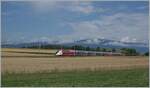 Der TGV 4725 ist als TGV Lyria 9261 kurz nach Arnex von Paris Gare de Lyon nach Lausanne unterwegs und somit schon fast am Ziel seiner Fahrt.