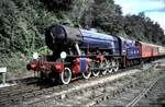 UK BR WD 601 in Ropley im August 1991.