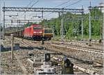 Die DB 483 103 erreicht mit einem G�terzug Gallarate und f�hrt hier ohne Halt durch.