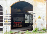   Die FS E.636 117 (Camilla) steht an 02.11.2019 in dem Lokschuppen in Sondrio (dt.