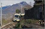 Hinter einer Ruine bei Trontano spickelt ein FART Centovalliexpress hervor; das Bild soll zeigen dass draußen, auf der anderen Seite des Fensters des schöne Zuges das Leben in der