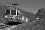 S/W Version des in Verigo ankommenden SSIF ABe 8/8 22  Ticino .