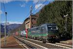 Zwei SBB Cargo International Re 193 sind in Premosello auf der Fahrt Richtung Süden.