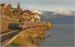 Bei St-Saphorin ist ein FS Trenitalia ETR 610 als EC 142auf der Fahrt von Domodossola nach Gen�ve, leider mit offener Schnauze.

12. Nov. 2024

