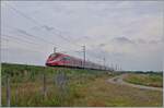 Der FS Trenitalia ETR 400 053 ist als Frecciarossa FR 9508 von Roma Termini (ab 06:00) nach Torino Porta Nuova 11:05 bei Livorno Ferraris auf der Schnellfahrstrecke Milano - Torino unterwegs.