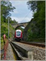 - Hohle Gasse - Auf der eingleisigen Strecke von Wiltz nach Kautenbach geht es stellenweise recht eng zu.