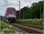 Die Stichstrecke Ettelbr�ck - Diekirch f�hrt gr��tenteils durch eine schmucklose Industriezone, am 12.06.2012 jedoch fuhr die Computermaus 2223 in Mitten wundersch�ner Blumenbeete hindurch in Richtung