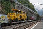 Auf einen Normalspurwagen verladen ist diese SERSA B24C Schmalspurgleisbaumaschine auf dem Weg Richtung Wallis.