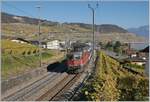 Die SBB Re 4/4 II 11156 (und am Zugschluss eine weitere) sind mit einem Dispo Zug Richtung Lausanne bei Cully unterwegs.