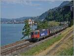 Die SBB Re 4/4 II 11288 (RE 420 288-3) ist kurz vor Villeneuve mit einem G�terzug au dem Weg nach Sierre. 

30. Juni 2025
