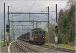 Die BLS Re 4/4 174 erreicht mit einem leeren Autowagen Zug Mülenen.
