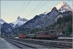 Die Autotunnelzüge der Strecke AT1 (und AT2 in der Hochsaiseon) nach Kandersteg (bzw.