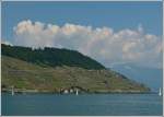 Suche den Zug: Ein IR Gen�ve-Brig f�hrt zwischen Cully und Lutry an den wundersch�nen Weinbergterrassen des Lavaux vorbei, aufgenommen vom Schiff LA SUISSE auf dem Genfersee.
