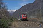 P�nktlich wie die Eisenbahn kommt die SBB Re 484 019 mit ihrer RoLa nach Novara kurz nach Premosello-Chiovenda bei meiner Fotostelle vorbei.