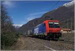 Nocheinmal, nun etwas n�her, die SBB Re 484 019 mit ihrer RoLa nach Novara kurz nach Premosello-Chiovenda.