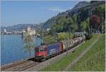 Die SBB Re 6/6 116665 (UIC 91 85 4620 065-3 CH-SBBC) ist mit einem Güterzug in Richtung Wallis beim Château de Chillon kurz vor Villeneuve unterwegs.