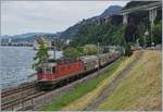 Die SBB Re 6/6 11685 (Re 620 085-1)  Sulgen  mit einem gemischten Güterzug bei Villeneuve.