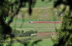 ge 4/4 III Nr.646 mit Werbung für BÜGA bei Celerina am 17.08.2009.