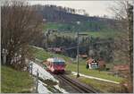 Der RHB BDeh 3/6 25 von Rorschach kommend wird in wenigne Minunten sien Ziel Heiden erreichen.