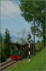 Das Wetter war besser und ich hatte Zeit, zwei unabdingliche Bedingungen, endlich die Hippsche Wendescheibe mit Dampflok bei  gutem Licht  zu fotografieren, doch leider war erstere in einer