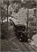 Ein Zug der Blonay Chamby Bahn dampft Chaulin entgegen.