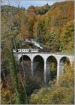 Die Blonay-Chamby G 2x 2/2 105 erreicht mit einem aus Wagen verschieden Bahngesellschaften zusammengestellten, aber doch einheitlich erscheinenden Reisezug den Baye de Clarens Viadukt.