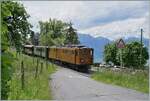 Festival Suisse de la vapeur 2024 / Schweizer Dampffestival 2024 der Blonay-Chamby Bahn - Bei Cornaux ist die Bernina Bahn RhB Ge 4/4 81 der Blonay Chamby Bahn mit ihrem bunten Zug auf der Fahrt nach
