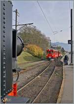 Blonay Chamby - Während die Nieten der SEG G 2x 2/2 105 der Blonay Chamby Bahn den linken Bildteil prägen, zeigt sich im Hintergrund der einfahrende RhB Bernina Bahn ABe 4/4 I 35 der Blonay-Chamby Bahn. 

27. Okt. 2024 
 