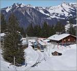 Ein Blick auf den Bahnhof von Winteregg mit zwei sich kreuzenden BLM Be 4/6. 

18. Februar 2025
