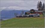 Kurz vor Les Avants ist die MOB Ge 4/4 8004 mit dem MOB/BLS GoldenPass Express GPX 4074 von Montreux nach Interlaken Ost unterwegs.