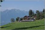 Bei Les Avants sind zwei MOB ABe 4/4 resp. Be 4/4 (Serie 9000) mit dem MOB Belle Epoque  auf dem Weg von Montreux nach Zweisimmen. 

15. Juni  2025