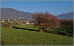 Herbst: Ein CEV GTW  /6 unterwegs beim Château d'Hauteville Richtung Vevey.
