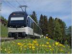 Der CEV MVR ABeh 2/6 7502 wartet in Lally auf die Rückfahrt nach Vevey.